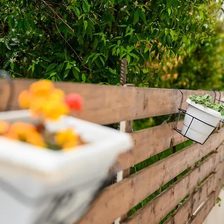 Afroditi Superior Aparthotel Archangelos (Rhodes)