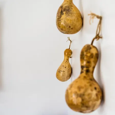 Afroditi Superior Ξενοδοχείο με διαμερίσματα Αρχάγγελος